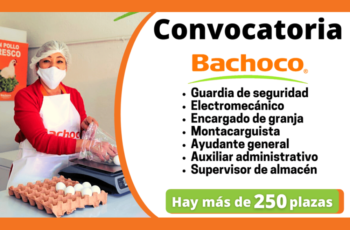 Convocatoria de Empleo – Bachoco México