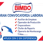 yt8igytukgjhkgjhlooyui_Mesa-de-trabajo-1
